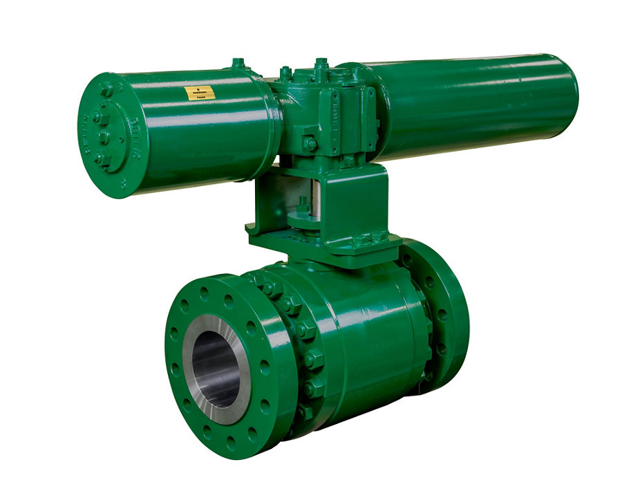 Fisher DSV1000 bộ giảm nhiệt hơi