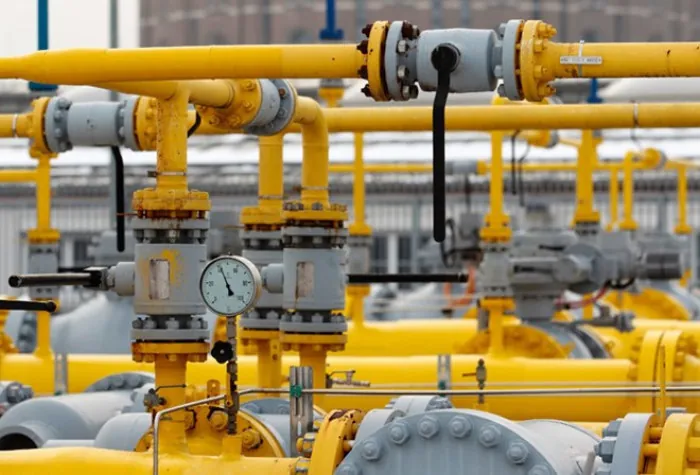 Maintenance & Reliability