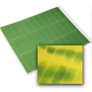 Nhãn Thermochromic SpotSee
