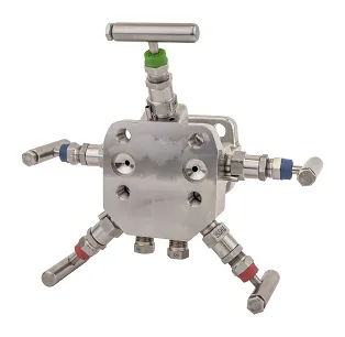 TESCOM Anderson Greenwood Model M24 Differential Pressure Manifolds – manifold chênh áp cho transmitter