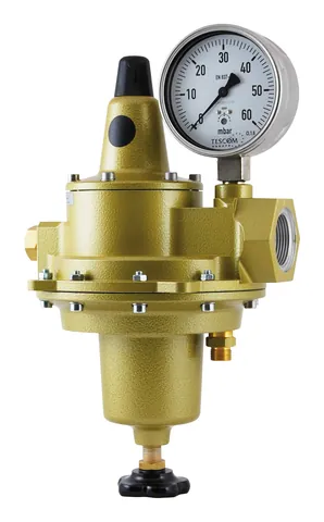 TESCOM Regulus 4 – bộ điều áp hai cấp khí tinh khiết